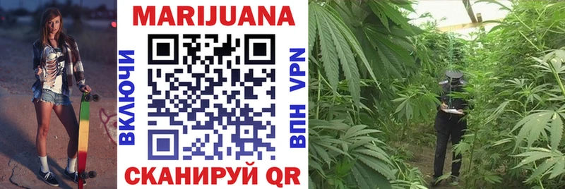 хочу Кушва Шишки марихуана Ganja